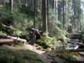 /album/fotogalerie/a2014-04-trasovani-003-jpg/